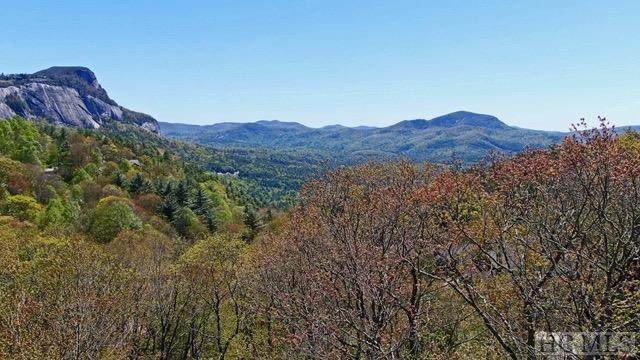 Lot 184 Lost Trail - Photo 1
