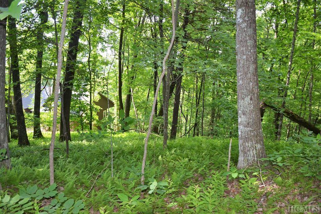 Lot #54 Birdnest Road - Photo 1