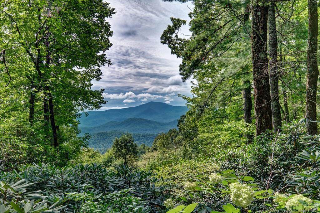 239 Clear Creek Road - Photo 1