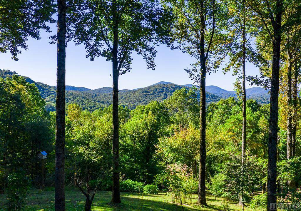 539/535 Bob Long Mountain Road - Photo 1