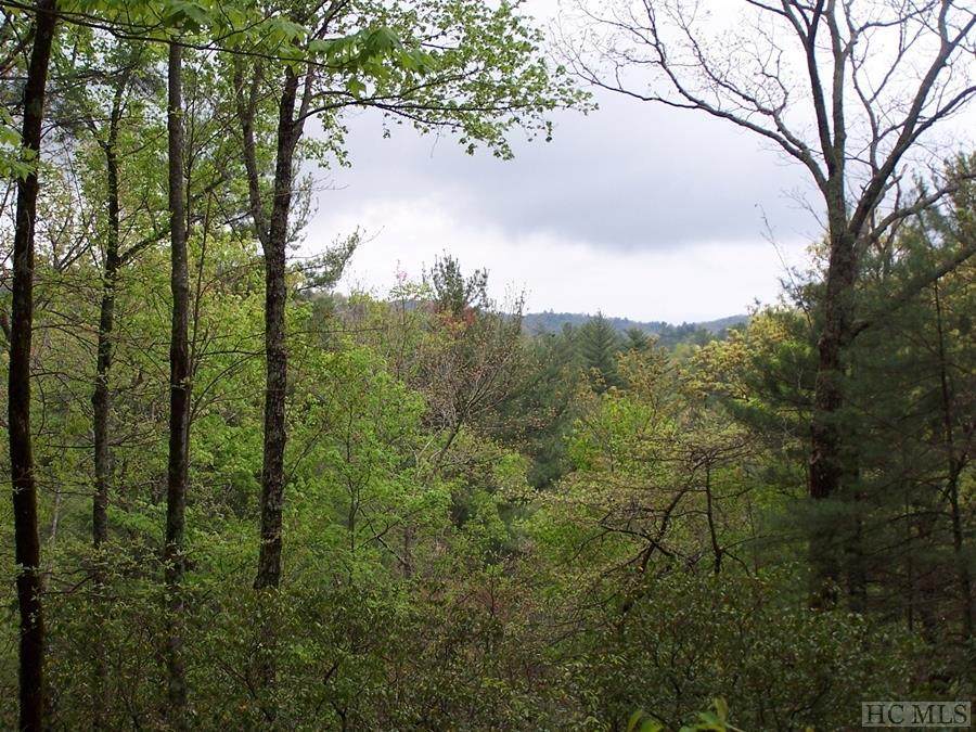 Lot 10 Deep Ford Falls - Photo 1