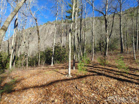 15 Climbers Spur - Photo 1