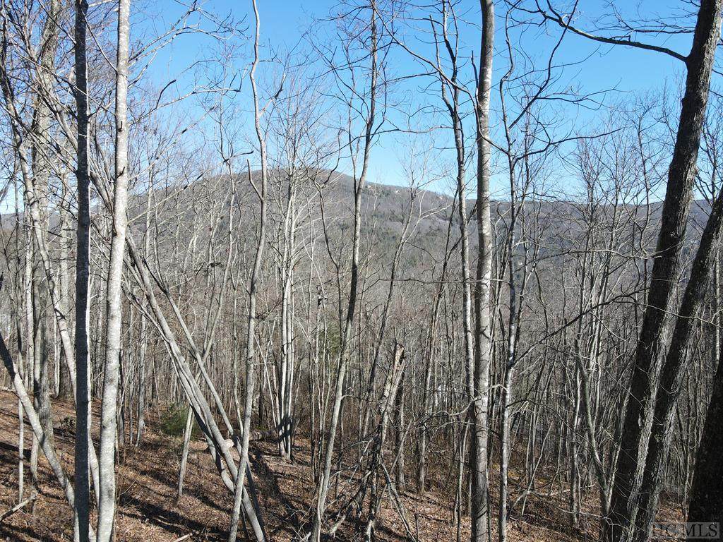 Lot 27 Flyaway Circle - Photo 1