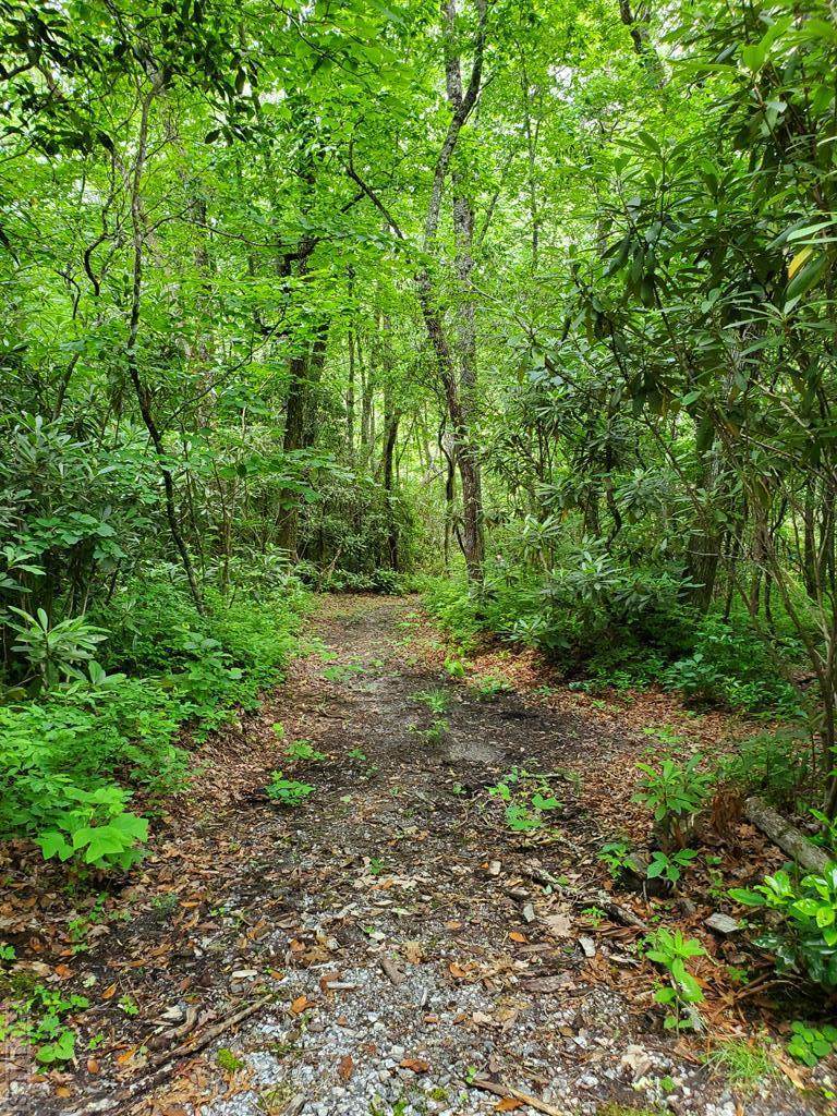 Lot 13 Streamside Drive - Photo 1