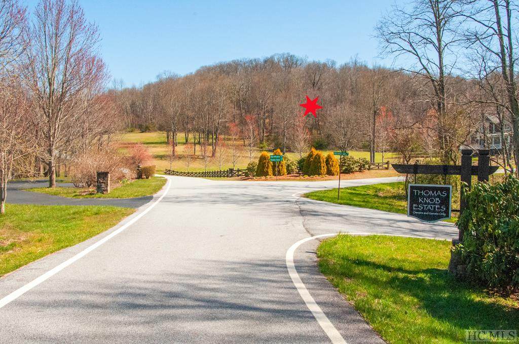 Lot 16 Meadow Way - Photo 1