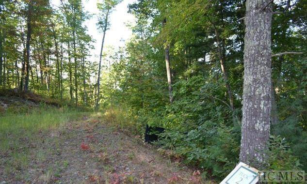 Lt 2 Wild Turkey Road - Photo 1
