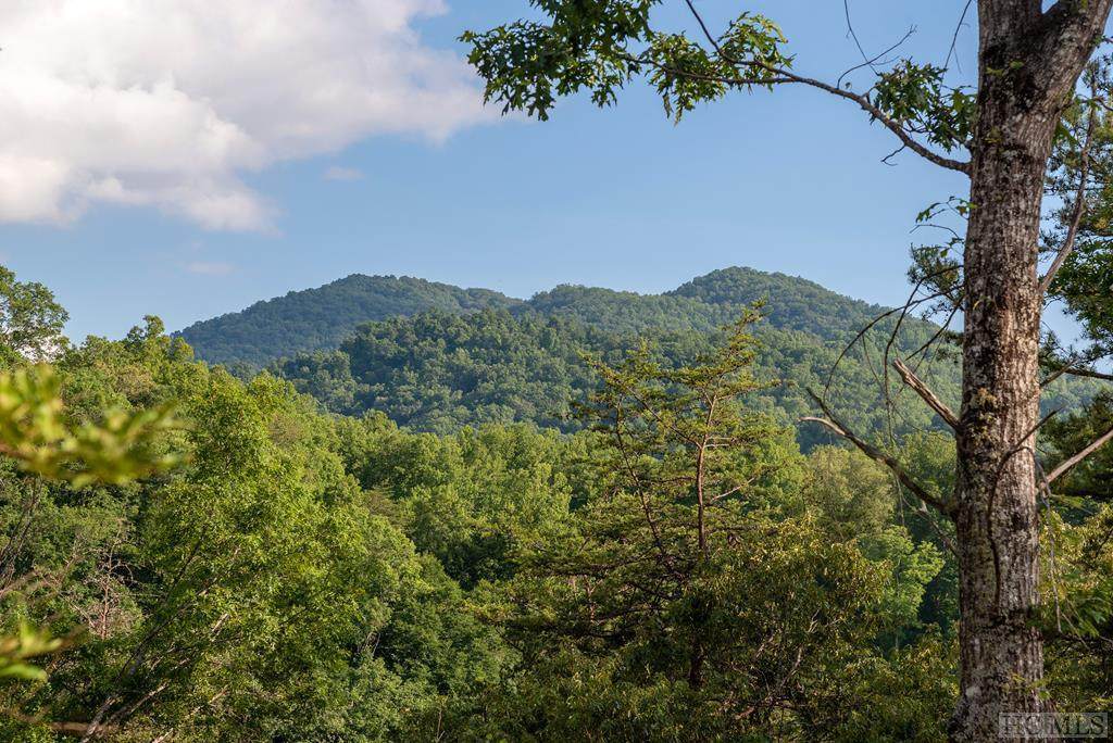 Lot 50 Amberleaf Way - Photo 1