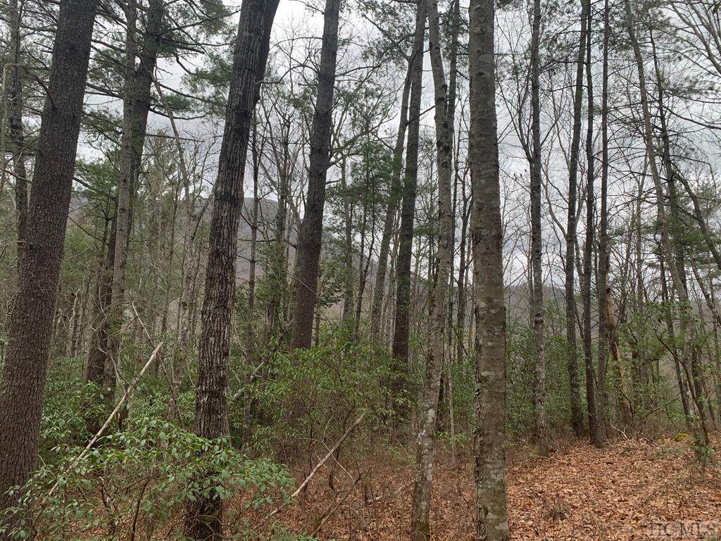 L051 Rocky Ridge Road - Photo 1