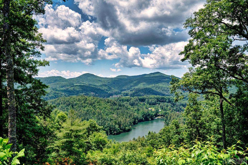 723 Shepherds Gap Road - Photo 1