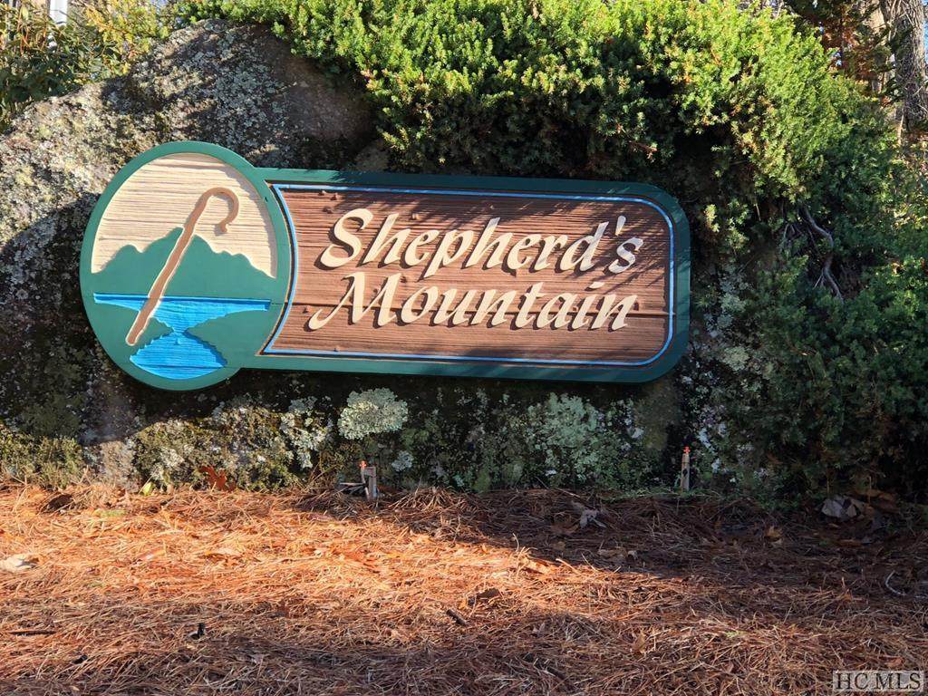 TBD Shepherds Gap Road - Photo 1