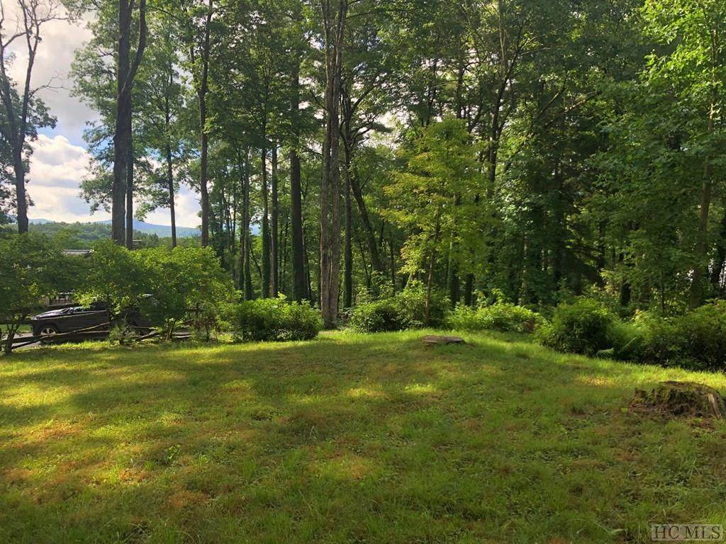 TBD Azalea Lane - Photo 1