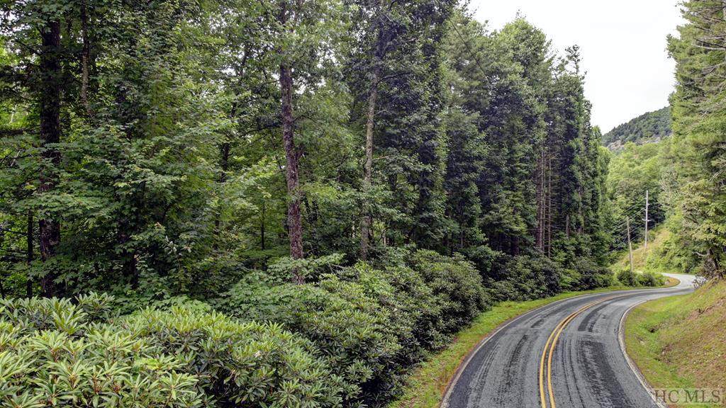 00 Cedar Creek Road - Photo 1