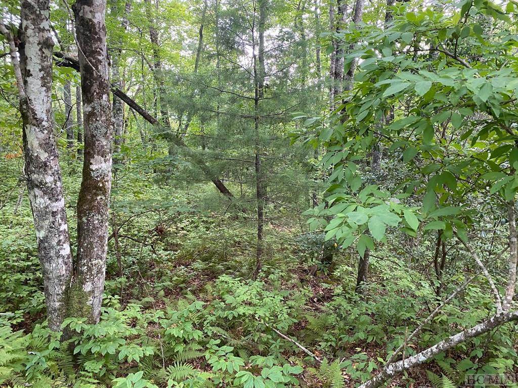 Lot B27 Ell Ridge - Photo 1
