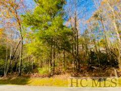 TBD Crescent Trail - Photo 1