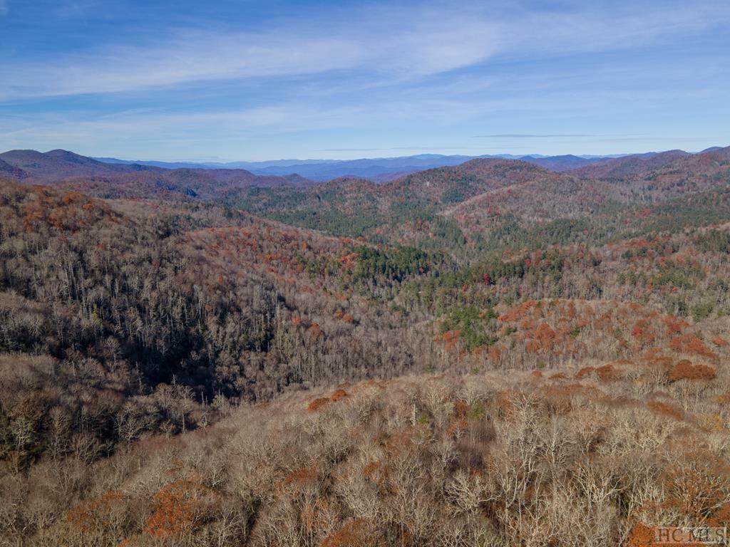 Tract 11 Lake Sequoyah Drive - Photo 1