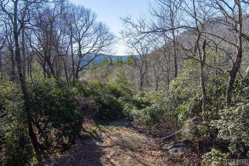 Lot 11 Blue Valley Falls Drive - Photo 1