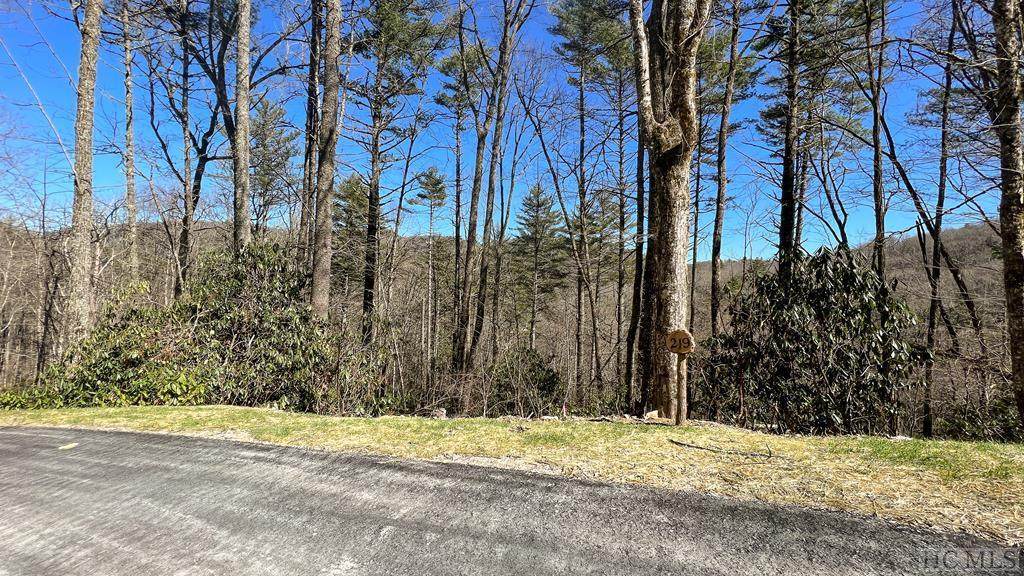 E-219 Thunder Creek Lane - Photo 1