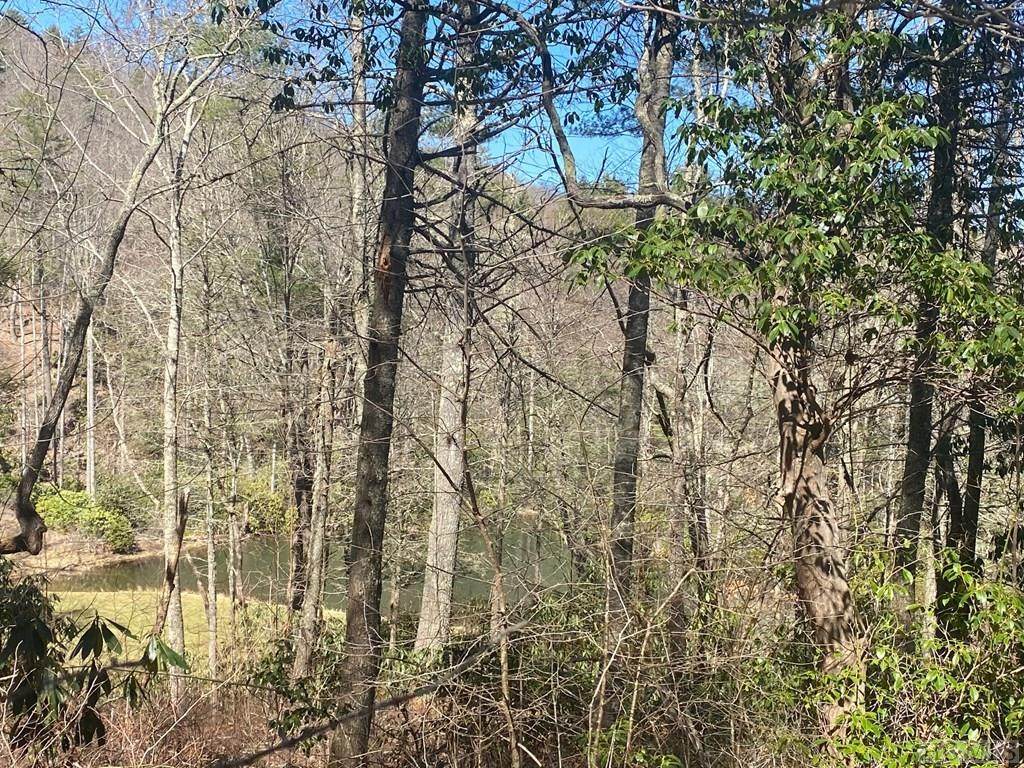 Lot 24 Creekside Trail - Photo 1