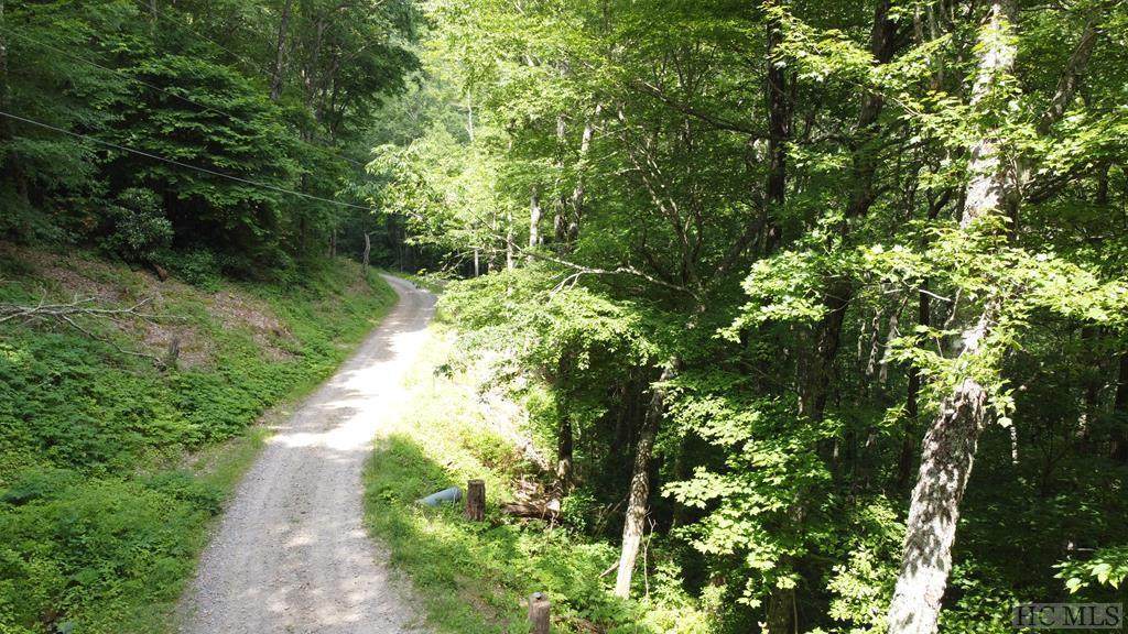 Lot 2&3 Buckhead Drive - Photo 1
