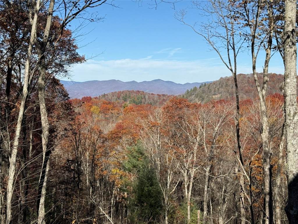 906 New Settlers Way - Photo 1