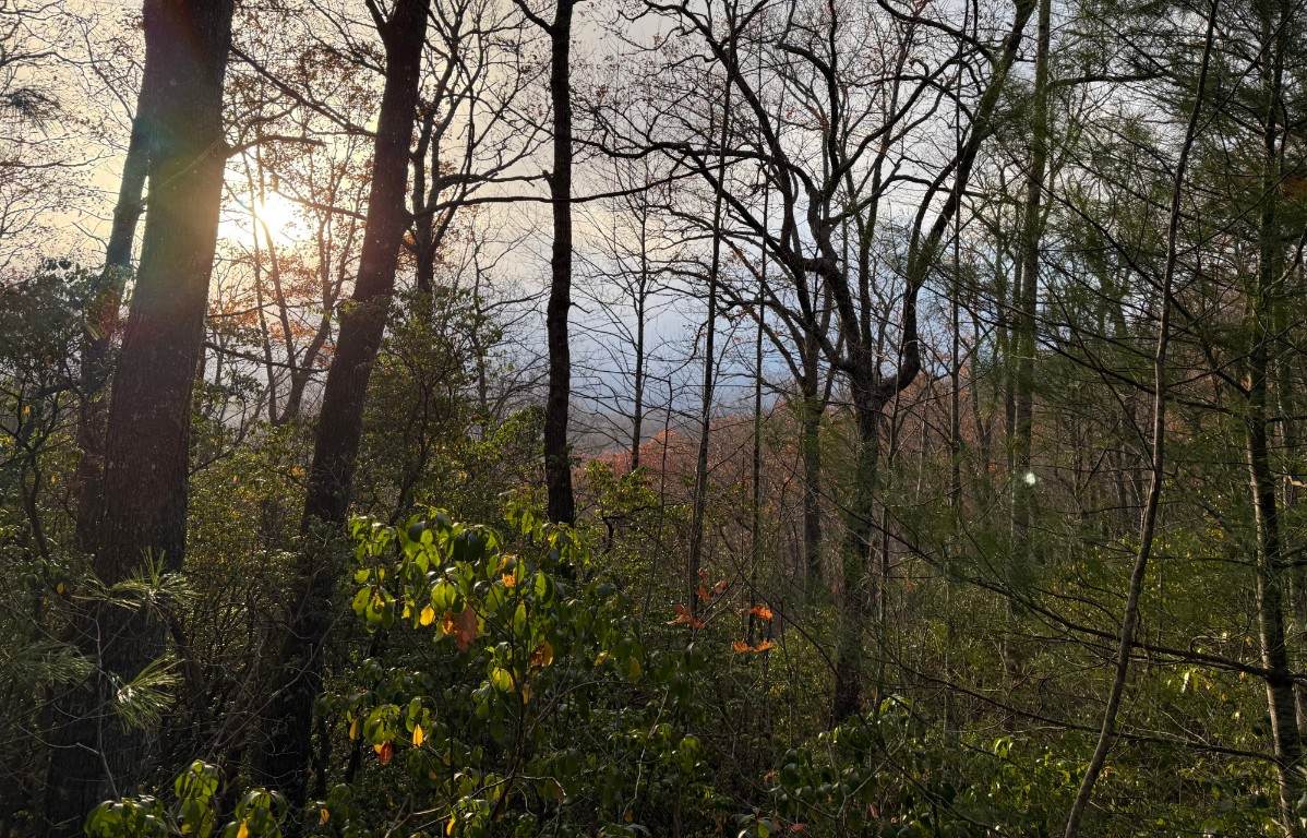 Lot 12 Silly Ridge - Photo 1