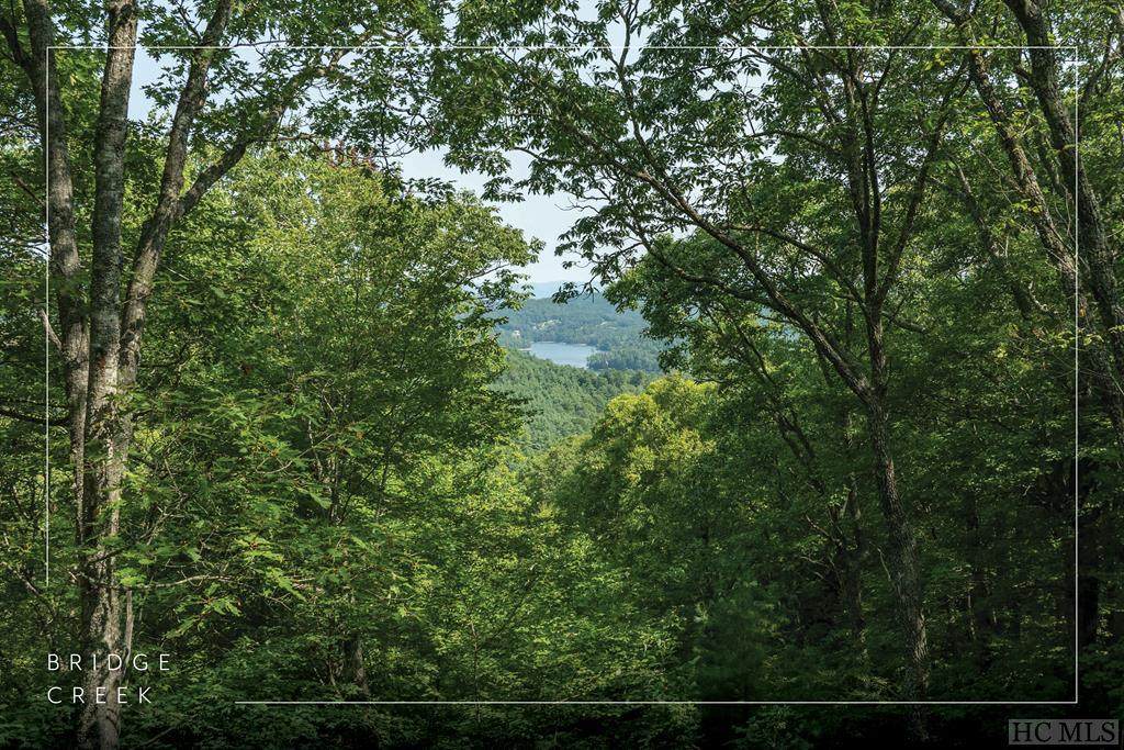 Lot 15 Horseshoe Bend Lane - Photo 1