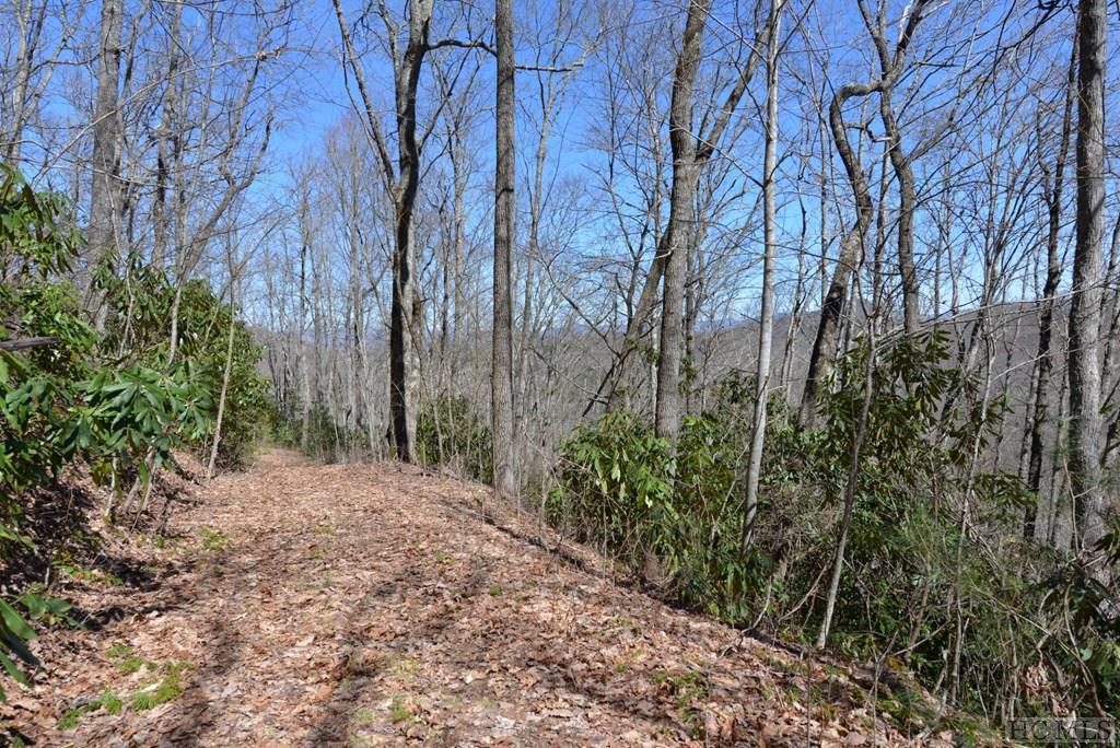 Off Ravenwood Road - Photo 1