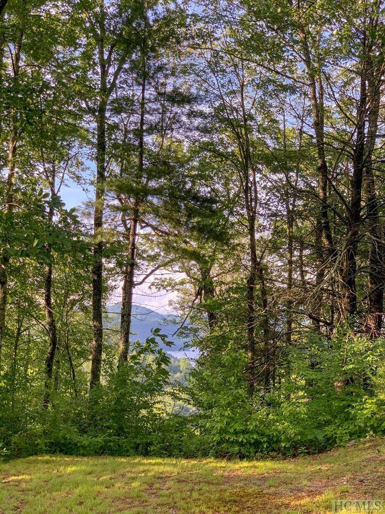Lot 58 Horseshoe Bend Lane - Photo 1