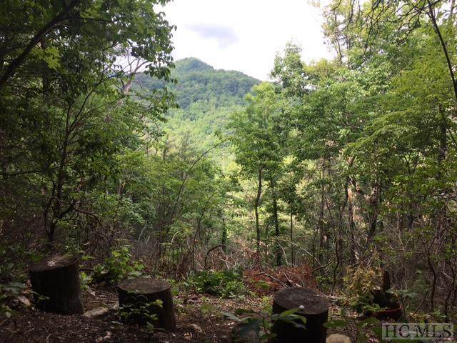 Lot 9 Gorge View - Photo 1