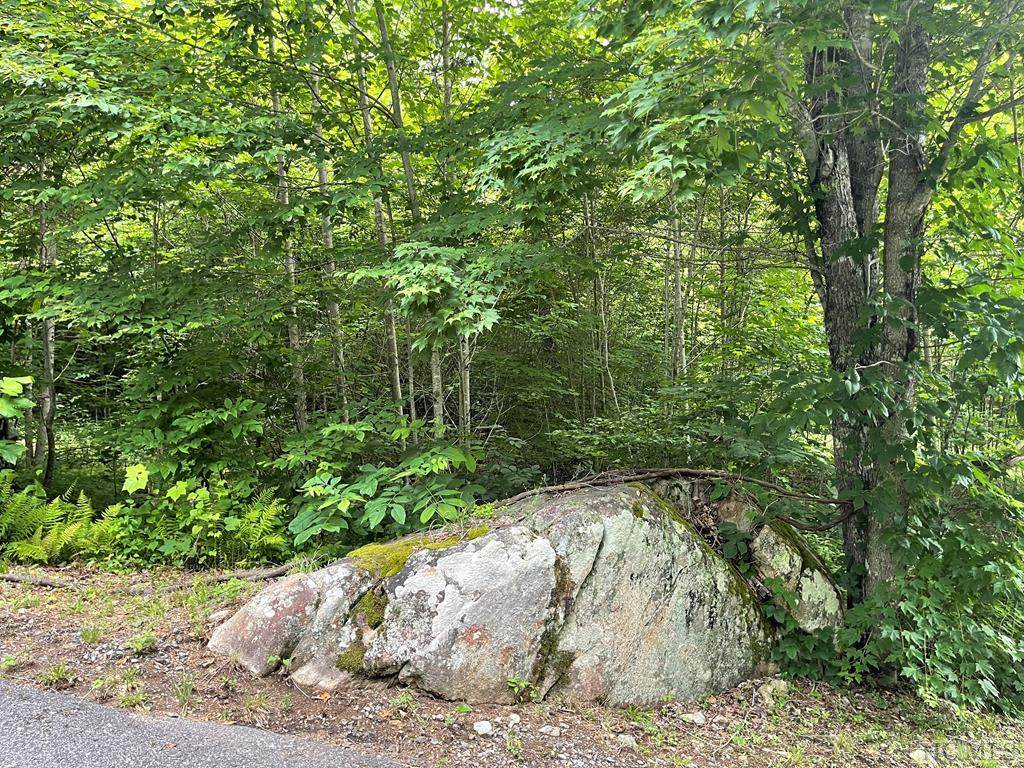 Lot 37 Pilot Knob Road - Photo 1
