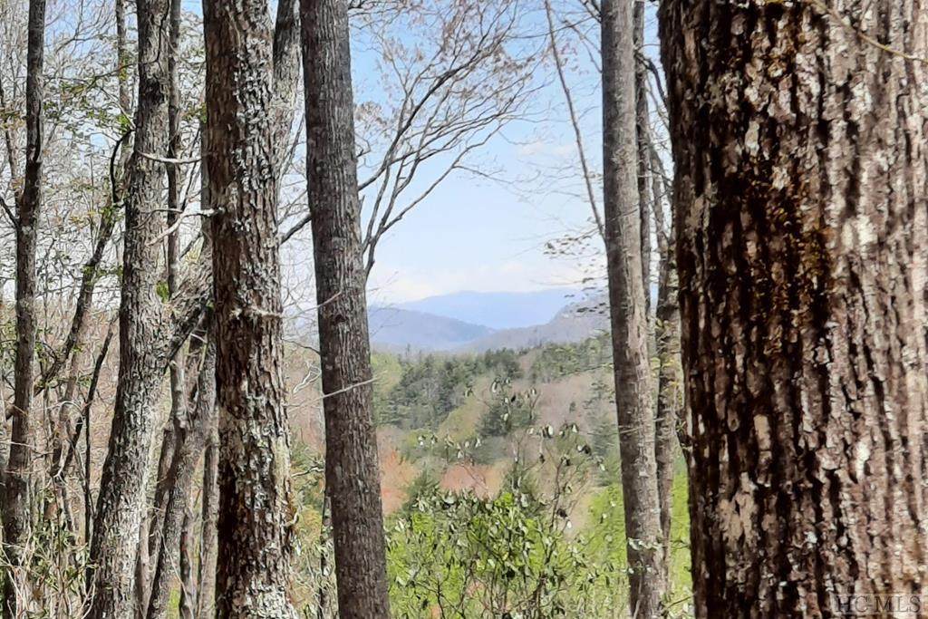 Lot 229 Highlands Cove Drive - Photo 1