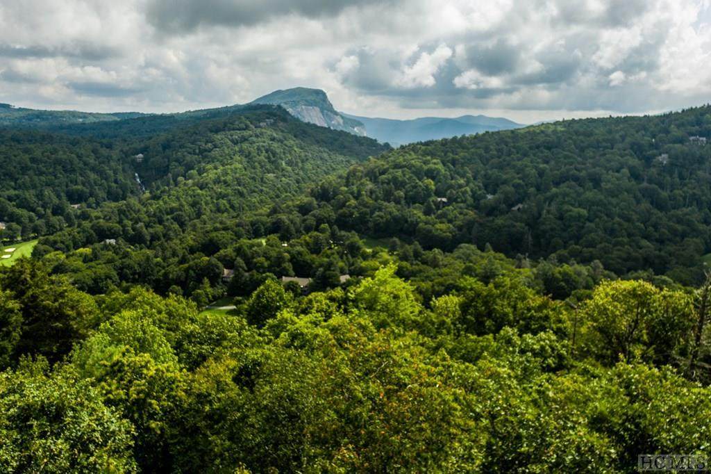 00 North Big Bearpen Mountain Road - Photo 1