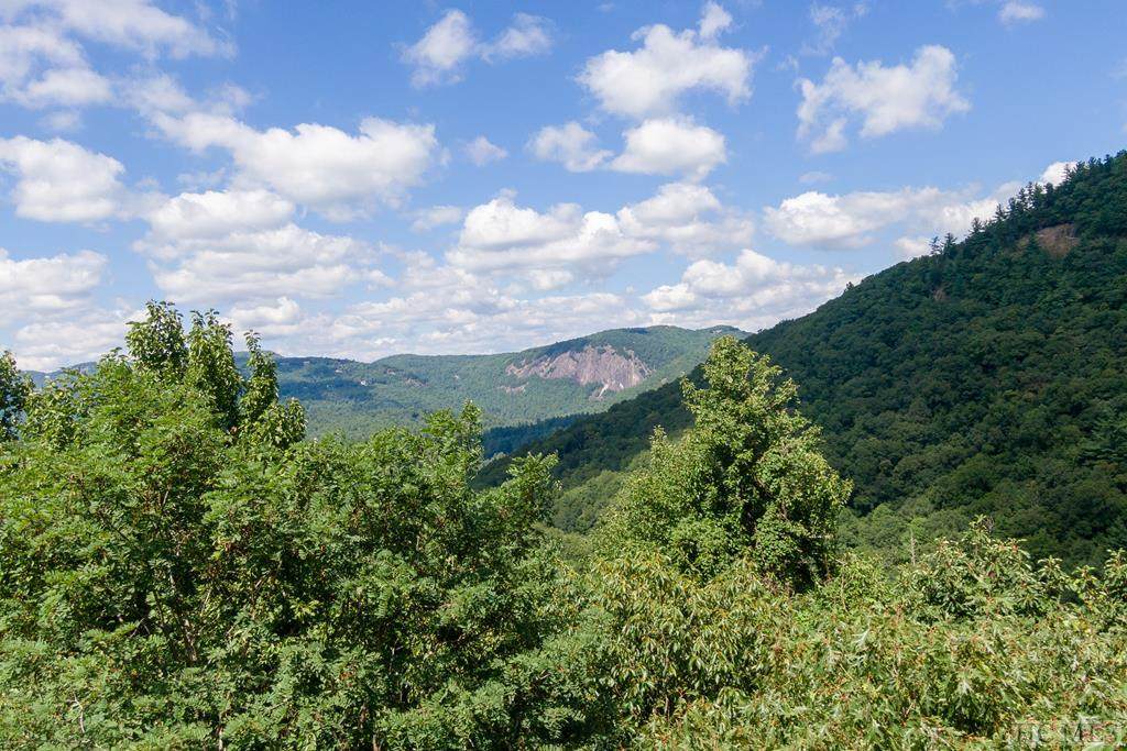 TR2 Sassafras Ridge - Photo 1