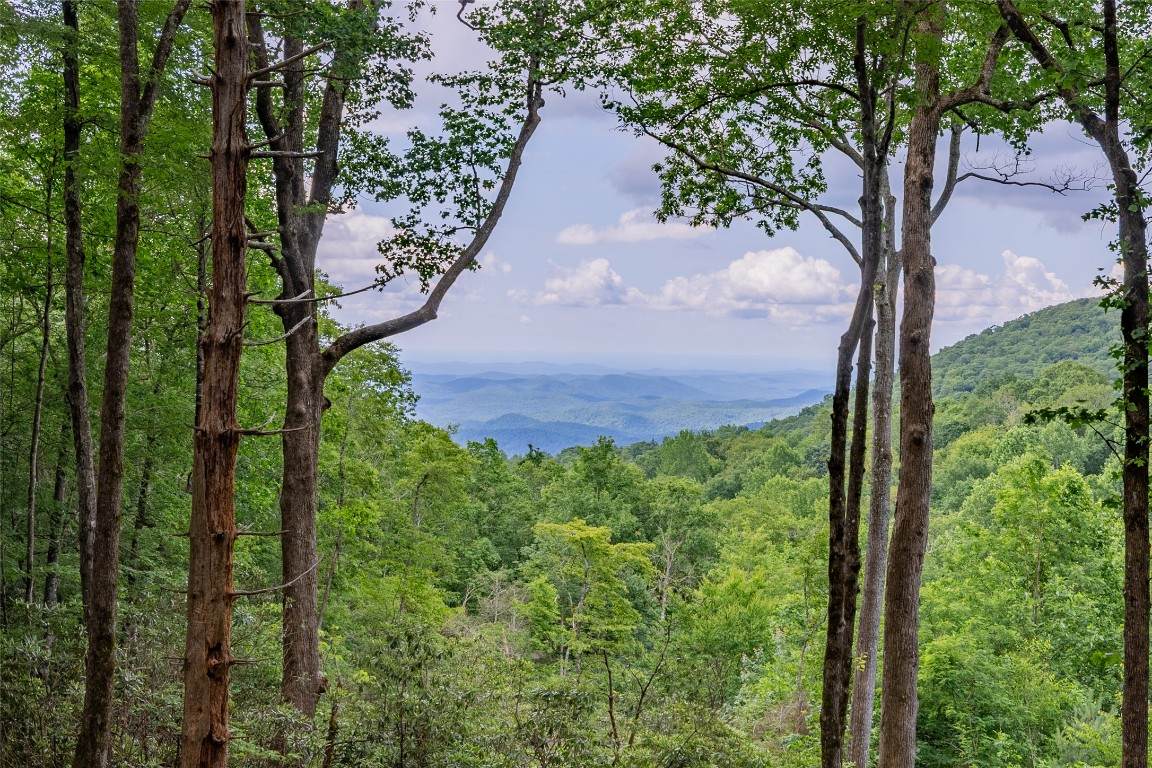 TBD Kettle Rock Road - Photo 1
