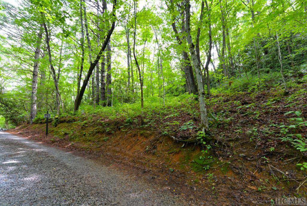 On Hidden Springs Road - Photo 1