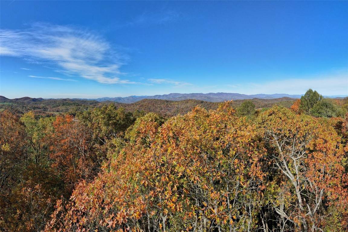 TBD Eastside Duck Mountain Road - Photo 1