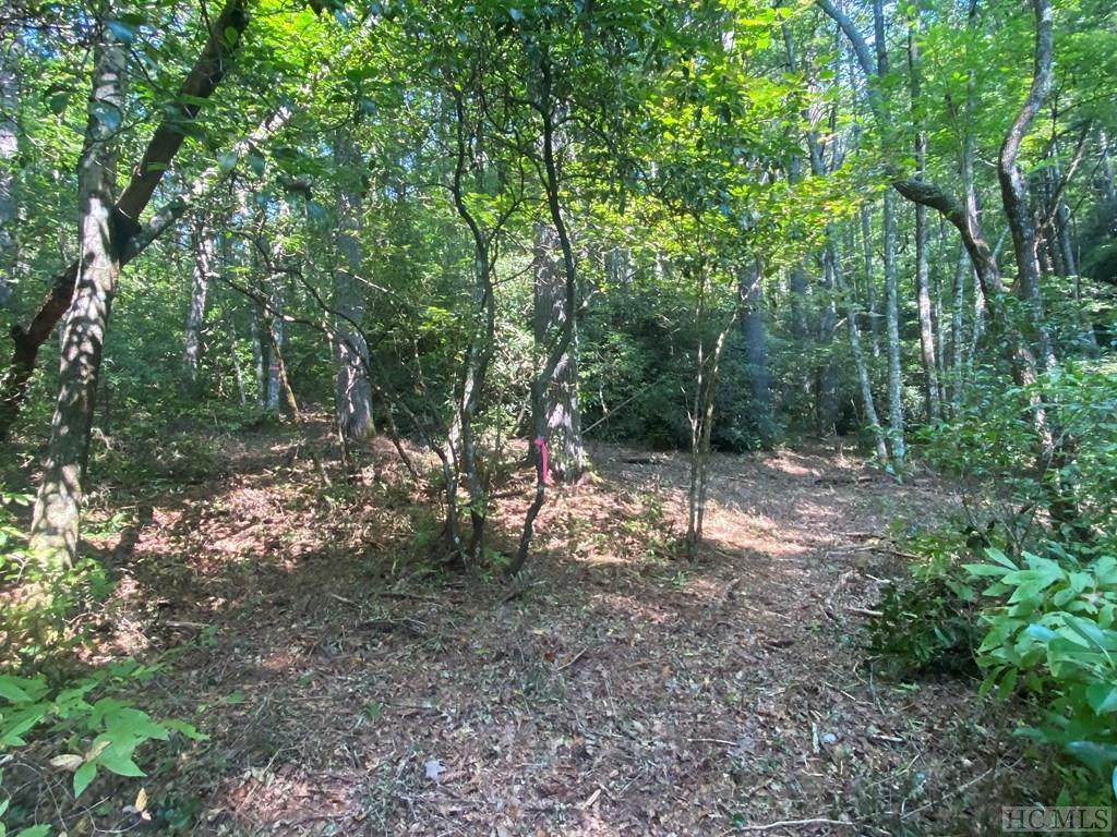 Lot 8 Wandering Ridge - Photo 1