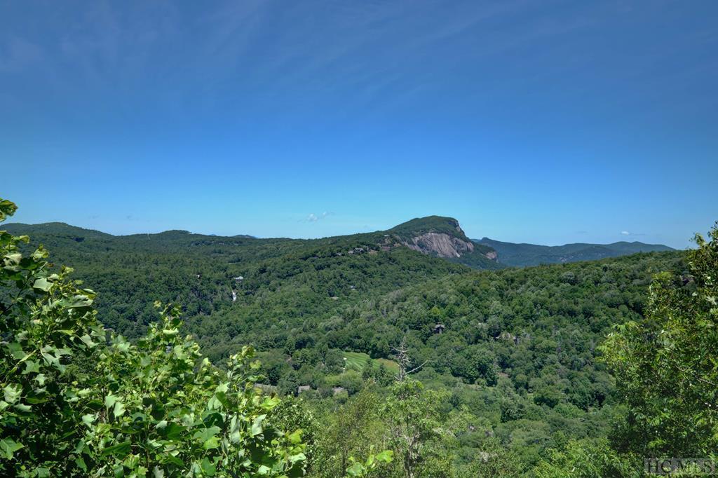 1601 Big Bear Pen Road - Photo 1