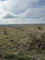 2260 Louisiana Road - Photo 5