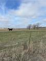 2260 Louisiana Road - Photo 10