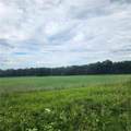  163rd Street - Photo 3