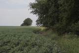 000 125th Street - Photo 1