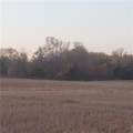 4-acres 315th Street - Photo 3