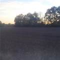 4-acres 315th Street - Photo 5