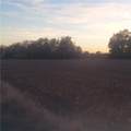 4-acres 315th Street - Photo 6