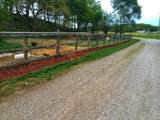 1148 County Rd 13 Road - Photo 3