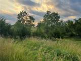 20573 Coon Branch Road - Photo 13