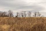  630 Road - Photo 69