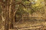  Stateline Road - Photo 30