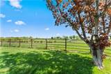 16439 Winan Road - Photo 74